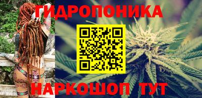 ГАЛЛЮЦИНОГЕННЫЕ ГРИБЫ Обь