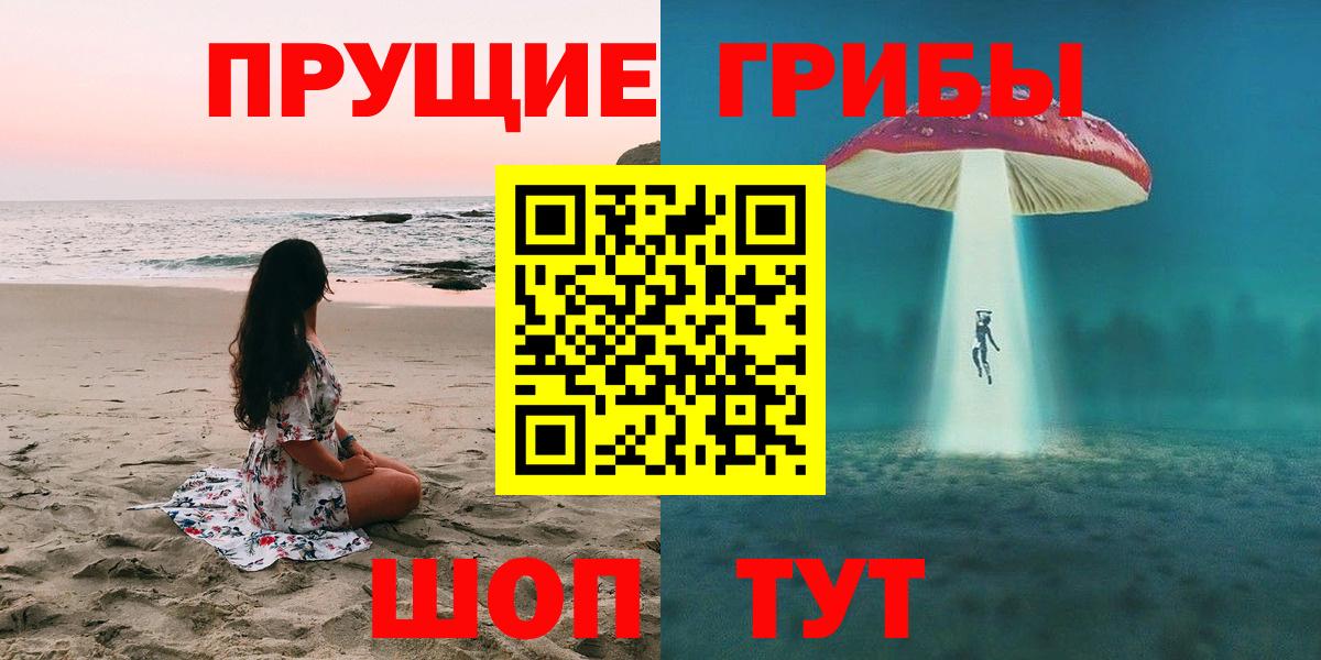 Псилоцибиновые грибы Psilocybine cubensis Торжок