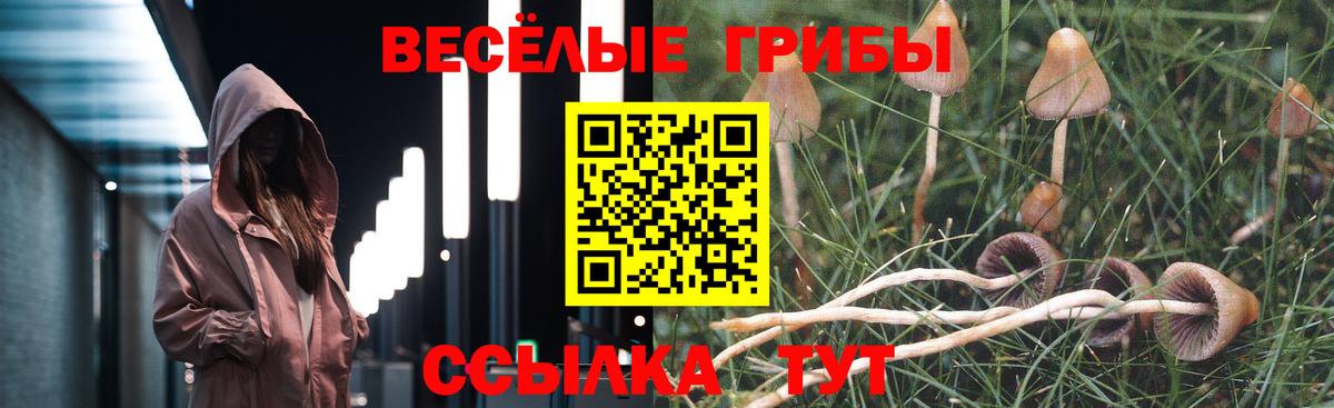 ГАШ Торжок