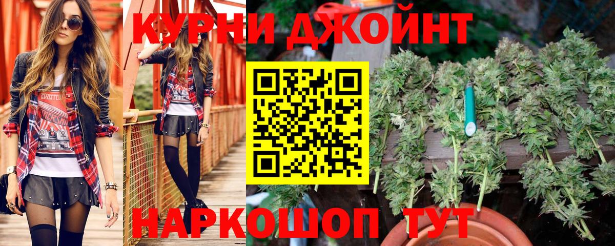 Каннабис планчик Торжок